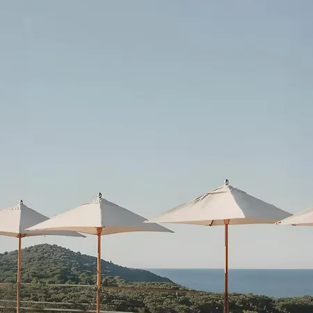 Indigo By Ihg فندق